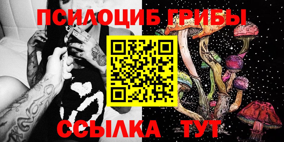 Псилоцибиновые грибы Psilocybine cubensis Кыштым